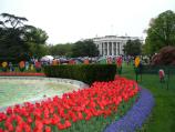 White House Easter Egg Roll events on the South Lawn on Monday, April 17, 2006