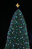 2010 National Christmas Tree