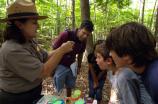 Staffing the aquatic insect station at Family Fun Day in July