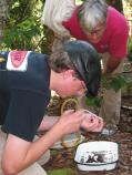 Volunteer Max Swann collects small insects using an aspirator while Maine Entomological Society member David Borque looks on.