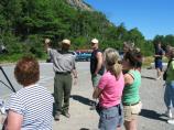 A ranger educates visitors about Peregrine Falcons.