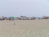 Assateague Island National Seashore beach
