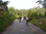 Visitors biking the Woodland trail in Chincoteague National Wildlife Refuge on Assateague Island, VA.