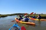 Kayaks on the marsh