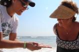 Roving on the Beach