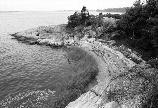Langlee Island Beach