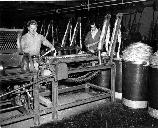 Spinning Machine twisted sliver into yarns.