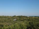 View from Watch Hill Nature Trail platform, overlooking the campground nestled among thick shrubs in the swale. High dunes and a glimpse of the Atlantic Ocean are in the background.