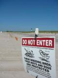 Protective measures include marking off habitat that Piping Plovers have historically used for nesting.