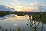 Sun setting over the wetlands at the Memorial Plaza