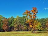 Spotsylvania Battlefield in the Fall