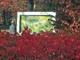 Chancellorsville in the Fall