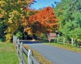 Chatham Entrance Road in Fall