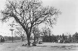 Paul Revere Capture Site in 1956