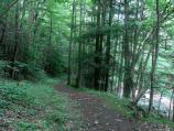 Glade Creek Trail