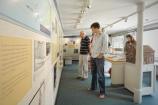 12 Visitors at exhibit