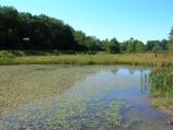 Pond located at base of park boundary.