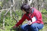 Wildflower Weekend