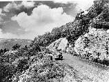 Visitors enjoy the views along Skyline Drive