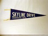 Souvenir Pennant
