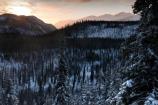 Winter- Dawn from Government Hill