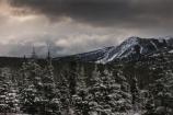 Spring Storm