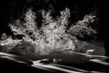 Winter- Exercise in Light and Shadow