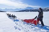 Volunteer with Team on Wonder Lake
