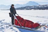 Volunteer Mushing on Wonder Lake