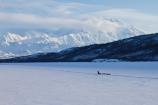 Wonder Lake with Musher Landscape
