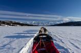 Driver View with Team on Wonder Lake
