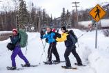 Snowshoe Hikers