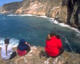 Pinnipeds (seals and sea lions) commonly are sighted from the towering volcanic cliffs above Elephant Seal Cove.