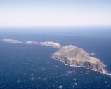 Anacapa Island’s steep, isolated slopes provide excellent nesting sites for a variety of land and sea birds.