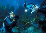 Channel Islands Live
