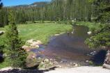 The San Joaquin River runs through Soda Springs Meadow, creating ample fishing opportunities in the Monument.