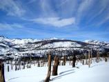 The Ritter Range from the Rainbow Fire Burn Area