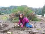 Young girl planting local shrubs
