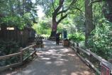 The accessible restrooms right next to the upper parking lot at Muir Woods.