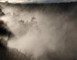 Steam Vents