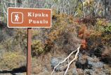 Kipukapuaulu (Bird Park) is extremely dry!