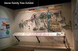Image of the horse tree exhibit inside the museum.