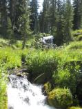 Hat Creek runs alongside the trail and is lush with vegetation even during the dry season.