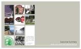 Dismal Nitch Report Executive Summary, pg 1 of 12