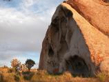 Boulder and Joshua trees on Cima Dome