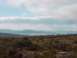 Kelso Dunes as seen from Arrowweed Spring