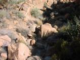 Overview of Basalt Spring