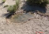 Black Diamond Spring