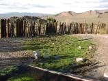 Corral at Bullock Spring