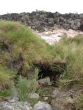 Cane Spring (east)